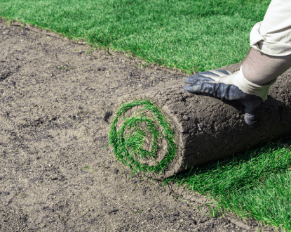 SOD INSTALLATION